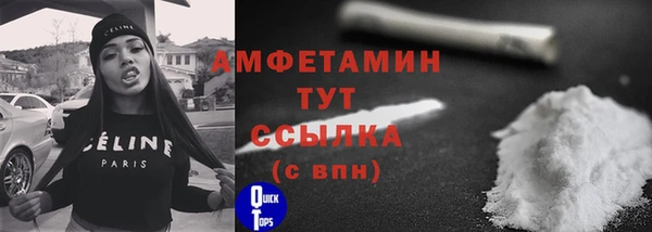 индика Балабаново
