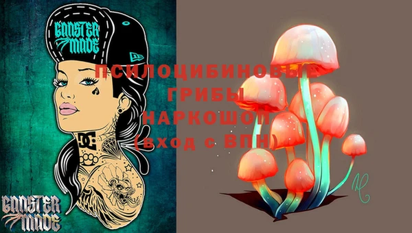 индика Балабаново