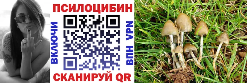 купить наркотик  Гусев  Галлюциногенные грибы Cubensis 
