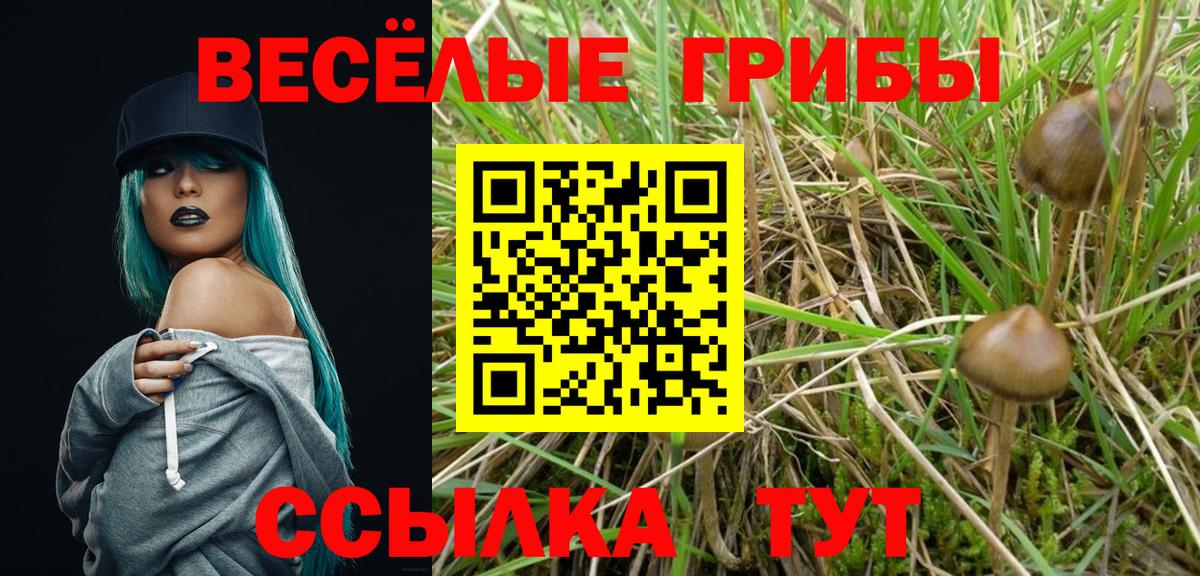 Галлюциногенные грибы GOLDEN TEACHER  Вход с VPN  купить   Гусев 